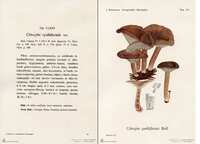 https://images.plurk.com/6rGPqcJbghBF5a2rPu2nRk.jpg