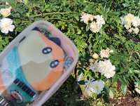 https://images.plurk.com/6rVumkeRlngYBGIsTmbFEv.jpg