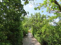 https://images.plurk.com/6rXhtzZ8lUSuEtH4rkouGt.jpg