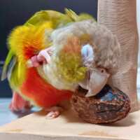 https://images.plurk.com/6rXnCW90laMhkWUbQqtkFc.png