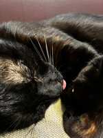 https://images.plurk.com/6rXqZu2VEMmXn0PObtRGr0.jpg