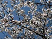 https://images.plurk.com/6rYK5PMqyo5bDf2lhUSbdH.jpg