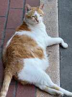 https://images.plurk.com/6rZS0bZ67On3P71EoPjWwi.jpg