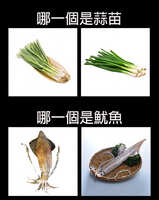 https://images.plurk.com/6rbcIKDT56Trh6FVX6pYZu.jpg