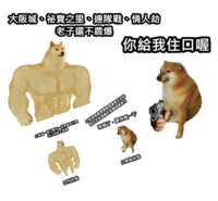 https://images.plurk.com/6rc7KLfDRfSnJdtwpasx7z.png