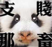 https://images.plurk.com/6rhPBxMHY3S4GRqcCDj3sP.png