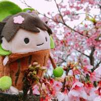 https://images.plurk.com/6rsdsH69YlKQWroKgtTURv.jpg