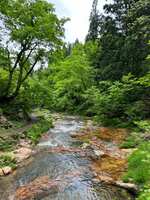 https://images.plurk.com/6rtkI2pcLtCMRjwbov46ny.jpg