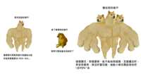 https://images.plurk.com/6ruTfLhbSj6aL5WmPEeMlq.png