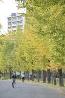 https://images.plurk.com/6rvoQNerL4M9yy2Ia1jPOv.jpg