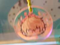 https://images.plurk.com/6s00Hpn0nE0kmscgby3j4P.jpg
