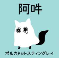 https://images.plurk.com/6s0Hpg6vPCebN819B3WH1S.png