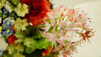 https://images.plurk.com/6s7YKuFoaNyr4EIgmMcamN.jpg