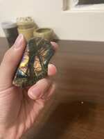 https://images.plurk.com/6s8sk5INjqLNHQ5H3xMZ9w.jpg