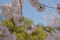 https://images.plurk.com/6sBapN8IRmDlGi97s24sUR.jpg