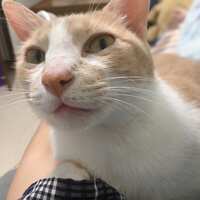 https://images.plurk.com/6sPVZa2rUdaH0emkj9d8Hb.jpg