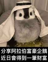 https://images.plurk.com/6sTg5Wpf5sczUP23C3rZ2X.png