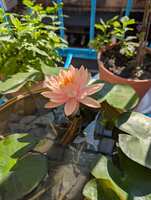 https://images.plurk.com/6sY2aiDCJfch9T0lVxxufW.jpg