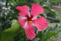 https://images.plurk.com/6sYpeDbjGXHr9EuruLTbwH.jpg