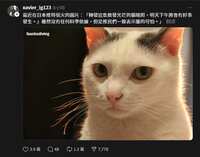 https://images.plurk.com/6sZe2M7rxQZ9frK49gUt1b.jpg