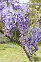 https://images.plurk.com/6sclvUVTrZPyaeqRnxyMq6.jpg
