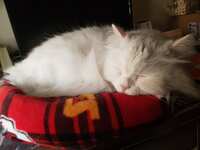 https://images.plurk.com/6sd9PJAF32s8ovJKyTNgsz.jpg