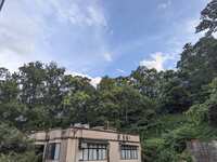 https://images.plurk.com/6sikEnxTtwrzbanH8EeXBq.jpg