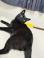 https://images.plurk.com/6sw6N6E9saTwJM8gl64FE0.jpg