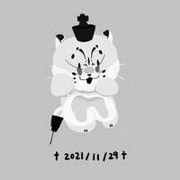 https://images.plurk.com/6t4ND46HC2QGLHvGClofST.jpg