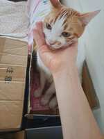 https://images.plurk.com/6t9vSIBlylQnDbRt5420vJ.jpg