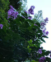 https://images.plurk.com/6tKqHHqeO40BBUsorBgQFs.jpg