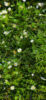 https://images.plurk.com/6tSTtYRhaHKCQbYHqkQb.jpg
