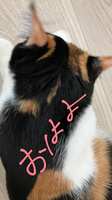 https://images.plurk.com/6tc2SsTU6uU1fFQx3KjfjW.jpg
