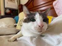https://images.plurk.com/6tl9Dn15tUnBiyL8jZouyq.jpg