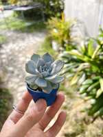 https://images.plurk.com/6ts4yLq86qooovzlgMc109.jpg
