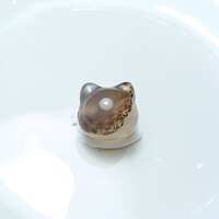 https://images.plurk.com/6u4tLjcSGNO9N5xMCHGgWu.jpg
