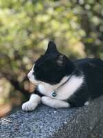 https://images.plurk.com/6u6IHmJi29DMzecI85b0yp.jpg