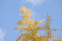 https://images.plurk.com/6uH3iOx8YgLFl3lvrmY0qt.jpg