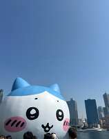 https://images.plurk.com/6uMvYrHJ42Hn0VYrZqRkWJ.jpg