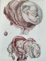 https://images.plurk.com/6uNiBrta9a6QQhAtp3we9V.png