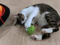 https://images.plurk.com/6uR940DQ7UKaSE8PKxKj8I.gif