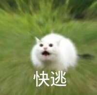 https://images.plurk.com/6uSO2ozUe68ubgczjpQyRn.jpg