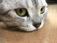 https://images.plurk.com/6uXJL7csQAWvOIv6eX1dEc.jpg
