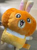 https://images.plurk.com/6uZGlkqdIxl3zC9cDMZqwZ.jpg