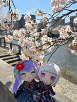 https://images.plurk.com/6uat1RxIETQeRWIsOBr3c1.jpg