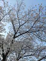 https://images.plurk.com/6ud1VcLU8olyaqlBKh9kkM.jpg