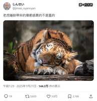 https://images.plurk.com/6v4pbvBDedyU0zHATbKyPh.jpg