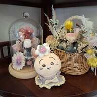 https://images.plurk.com/6v6NfOQ8DTfQn7aqQZfcNn.jpg