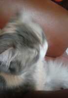 https://images.plurk.com/6vBJ0zl0Zgn8wr5HlWBBgH.jpg