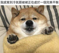 https://images.plurk.com/6vIhUCU4MavQ1CG8yVLh0X.jpg